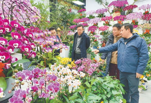 花18元中1672万