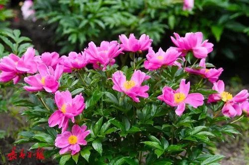花18元中1672万