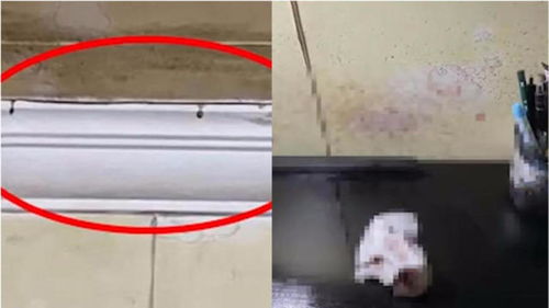 天花板漏电2人身亡