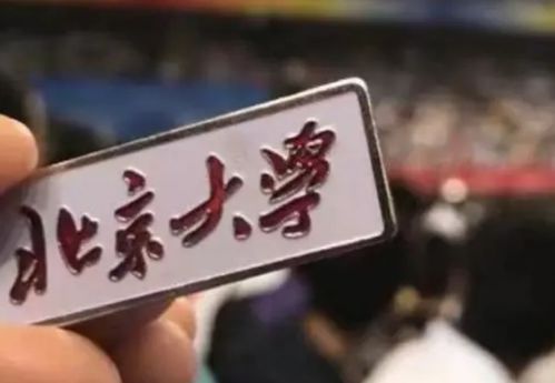 网红汤匙被北大录取