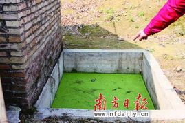 捞手机掉化粪池溺亡