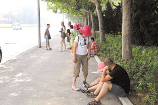 不玩自费项被扔山里