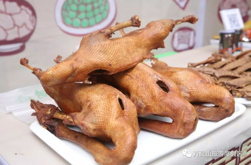 卤鹅哥投喂荣昌游客