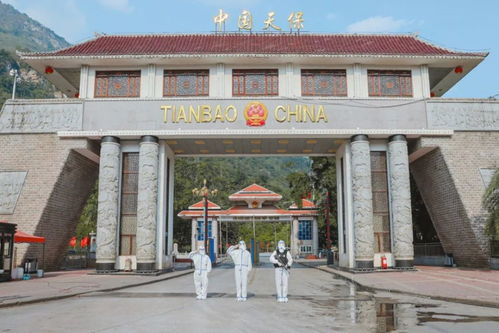 95后女孩辞职训鹰