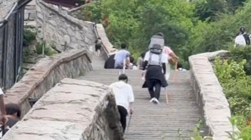 泰山陪爬2天挣近2千