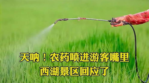 农药喷进游客嘴里