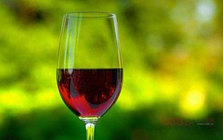 房产达人怎么拿酒瓶子