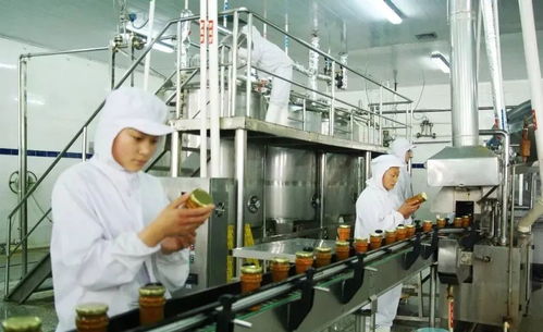 武汉查房产解押怎么查