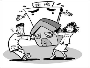 离婚了房产归属怎么写好
