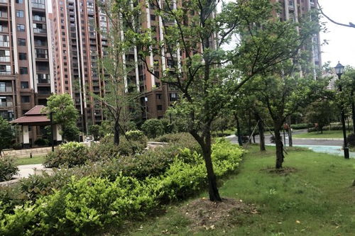 花山印象房产怎么样
