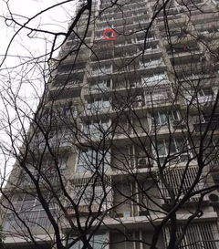 35层坠楼奇迹生还
