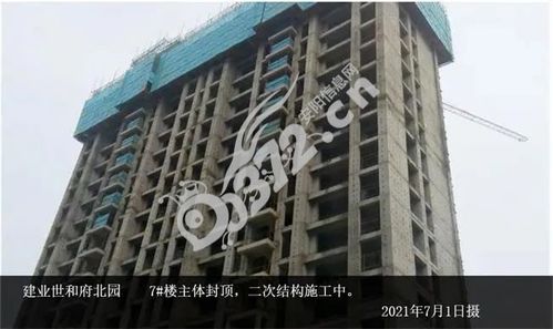 安阳海燕房产怎么样（安阳市海燕毛线店官方）