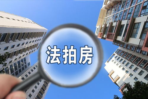 房产被低价拍卖怎么处理（房产被低价拍卖怎么处理合法）