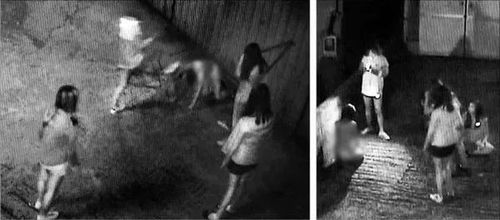 小学生因霸凌被鞭刑（小学生霸凌事件案例）