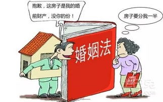 婚后房产夫妻怎么分配（婚后房产夫妻怎么分配最合理）