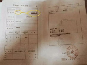 房产证名字怎么选（房产证名字顺序按什么排的）