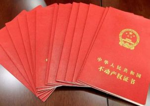 房产证怎么确定归属（如何确定房产证上的地址）