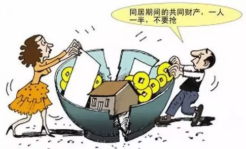 同居房产过户怎么办（同居关系买的房子算共同财产吗?