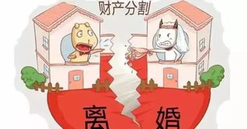 共有人离婚怎么分割房产（共有人如何分割共有财产）