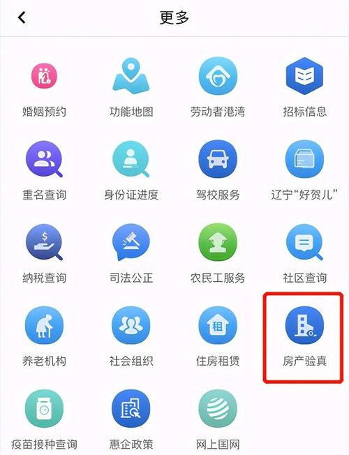 房产证编码怎么查（房产证编号怎么查询系统）