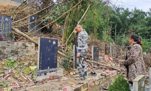 围墙倒塌砸死祖孙俩 围墙倒塌砸死祖孙俩