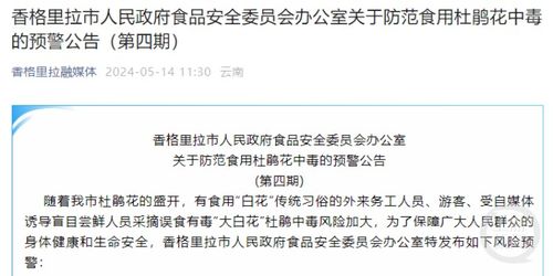 吃菌子前喊免责声明 吃菌子前喊免责声明