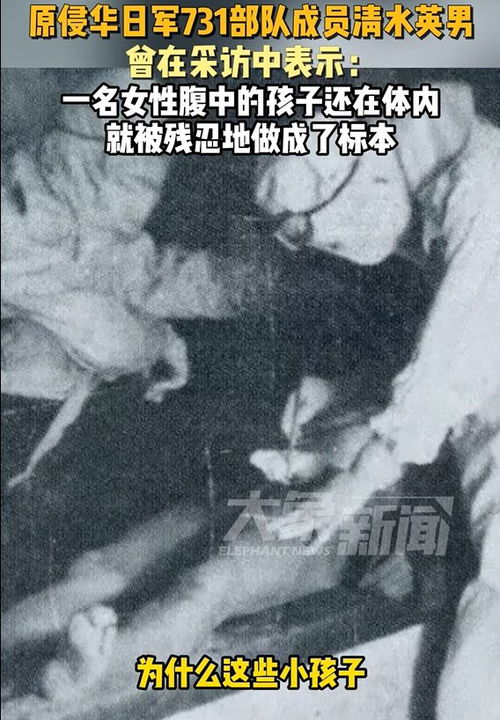 电影731取证11年(731电影简介) 电影731取证11年(731电影简介)