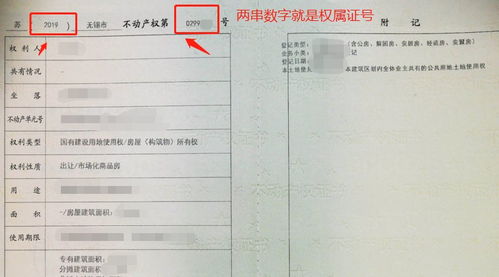 房产权属证书怎么查(房屋权属证号查询) 房产权属证书怎么查(房屋权属证号查询)