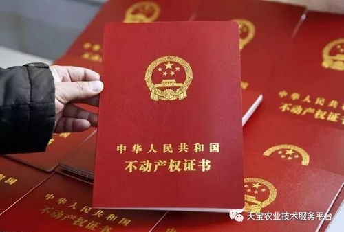 榆次怎么查房产证(榆次的房子怎么查网签) 榆次怎么查房产证(榆次的房子怎么查网签)
