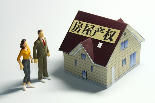 房产的多种名称怎么写（房产名称有哪些）