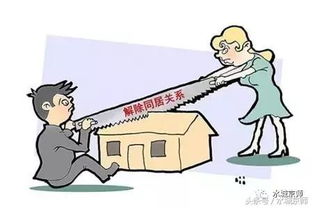 同居后房产登记怎么写（同居关系房产）