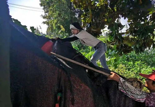 太原房产大侄子怎么落户(太原房产落户怎么办理) 太原房产大侄子怎么落户(太原房产落户怎么办理)