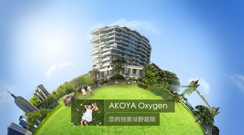海外房产投资怎么看(海外房产投资在哪里好) 海外房产投资怎么看(海外房产投资在哪里好)
