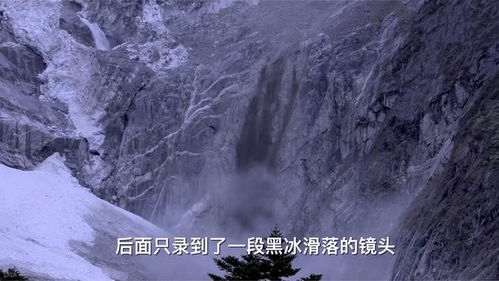 高一拍纪录片火了（高一拍纪录片火了多少年）