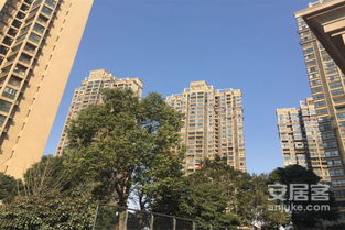 富强房产经纪怎么样(富强房产有限公司简介) 富强房产经纪怎么样(富强房产有限公司简介)
