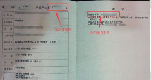 怎么提出看房产证(如何学会看房产证) 怎么提出看房产证(如何学会看房产证)