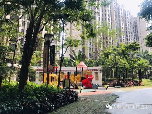 深圳阿飞房产怎么样(深圳买手阿飞) 深圳阿飞房产怎么样(深圳买手阿飞)