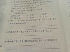 房产随笔短文怎么写的(房产文章) 房产随笔短文怎么写的(房产文章)