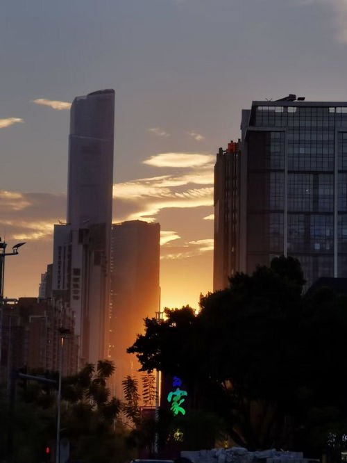 惠州房产怎么落户的啊（惠州有房产怎么落户）