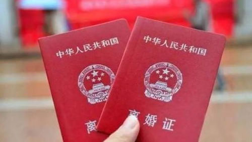人在监狱离婚房产怎么分(监狱里离婚后怎么领离婚证) 人在监狱离婚房产怎么分(监狱里离婚后怎么领离婚证)