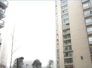 新野中天房产怎么样(新中天置业公司怎么样) 新野中天房产怎么样(新中天置业公司怎么样)