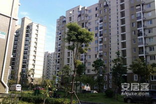 泗洪绿洲房产怎么样(泗县泗州绿苑怎么样) 泗洪绿洲房产怎么样(泗县泗州绿苑怎么样)