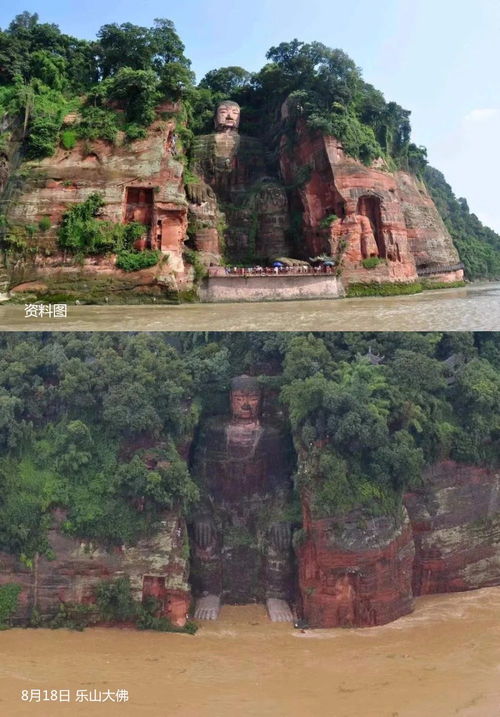 乐山大佛脚下禁游泳(乐山大佛可以下佛脚吗) 乐山大佛脚下禁游泳(乐山大佛可以下佛脚吗)