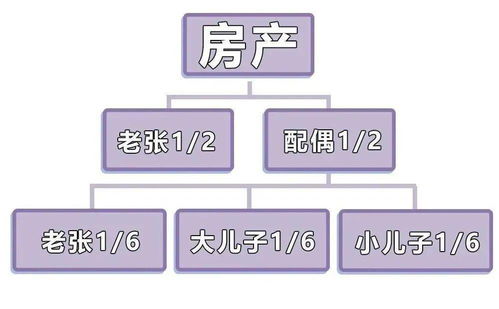 房产继承地税怎么办理(房产继承地税怎么办理流程) 房产继承地税怎么办理(房产继承地税怎么办理流程)