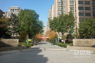 大唐小康房产怎么样(大唐小镇电话) 大唐小康房产怎么样(大唐小镇电话)