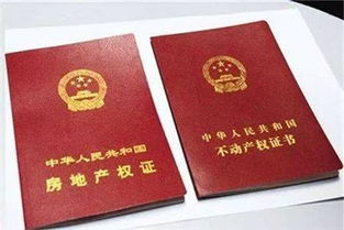 房产证面积怎么赔偿(房产证面积算法) 房产证面积怎么赔偿(房产证面积算法)