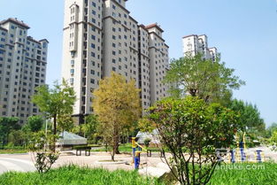 新河恋家房产怎么样(新河恋家房产怎么样知乎) 新河恋家房产怎么样(新河恋家房产怎么样知乎)