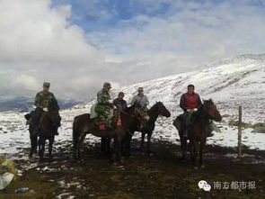 徒步失联吃树叶吃雪