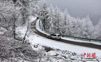 多地将有大到暴雪（全国多地暴雪）