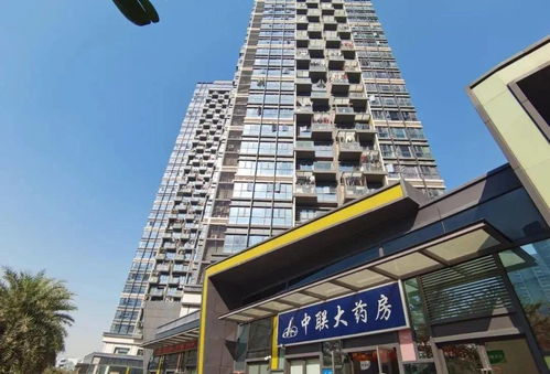 鹏城置业 房产怎么样(鹏城置业 房产怎么样啊) 鹏城置业 房产怎么样(鹏城置业 房产怎么样啊)